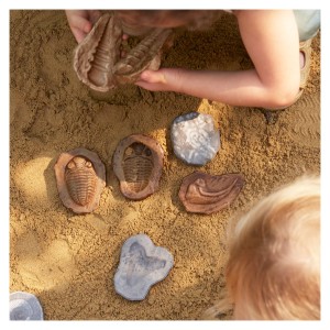 Fosile magnetice, set 6 perechi, Guidecraft, culoare: Multicolor, dimensiune: 10x8x3 cm – fotografie produs