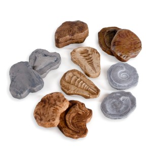 Fosile magnetice, set 6 perechi, Guidecraft, culoare: Multicolor, dimensiune: 10x8x3 cm – fotografie produs