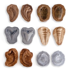 Fosile magnetice, set 6 perechi, Guidecraft, culoare: Multicolor, dimensiune: 10x8x3 cm – fotografie produs