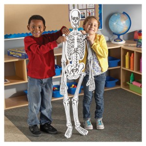 Schelet din spuma, puzzle mare de podea, culoare: Multicolor, dimensiune: 122 cm – fotografie produs