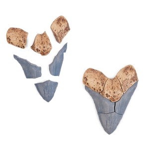 Dinte Megalodon, set magnetic 3D, Guidecraft, culoare: Multicolor, dimensiune: 20 cm – fotografie produs