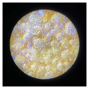 Microscop portabil cu adaptor de smartphone, 100x-250x, culoare: Multicolor, dimensiune: 14x7x4 cm – fotografie produs