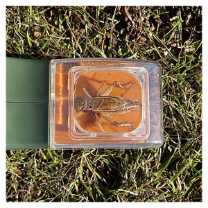 Observator insecte BugView, cu lupa marire 5x, culoare: Multicolor, dimensiune: 27x6x4 cm – fotografie produs