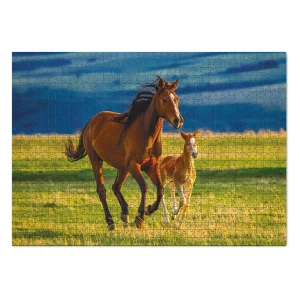 Puzzle Iapa cu manz, 1000 piese, culoare: Multicolor, dimensiune: 68x48 cm – fotografie produs