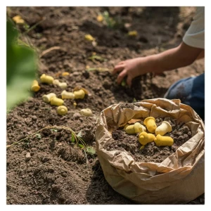 Mandala Tulip, 36 de piese, Grapat, culoare: Multicolor, dimensiune: 19x15x5 cm – fotografie produs